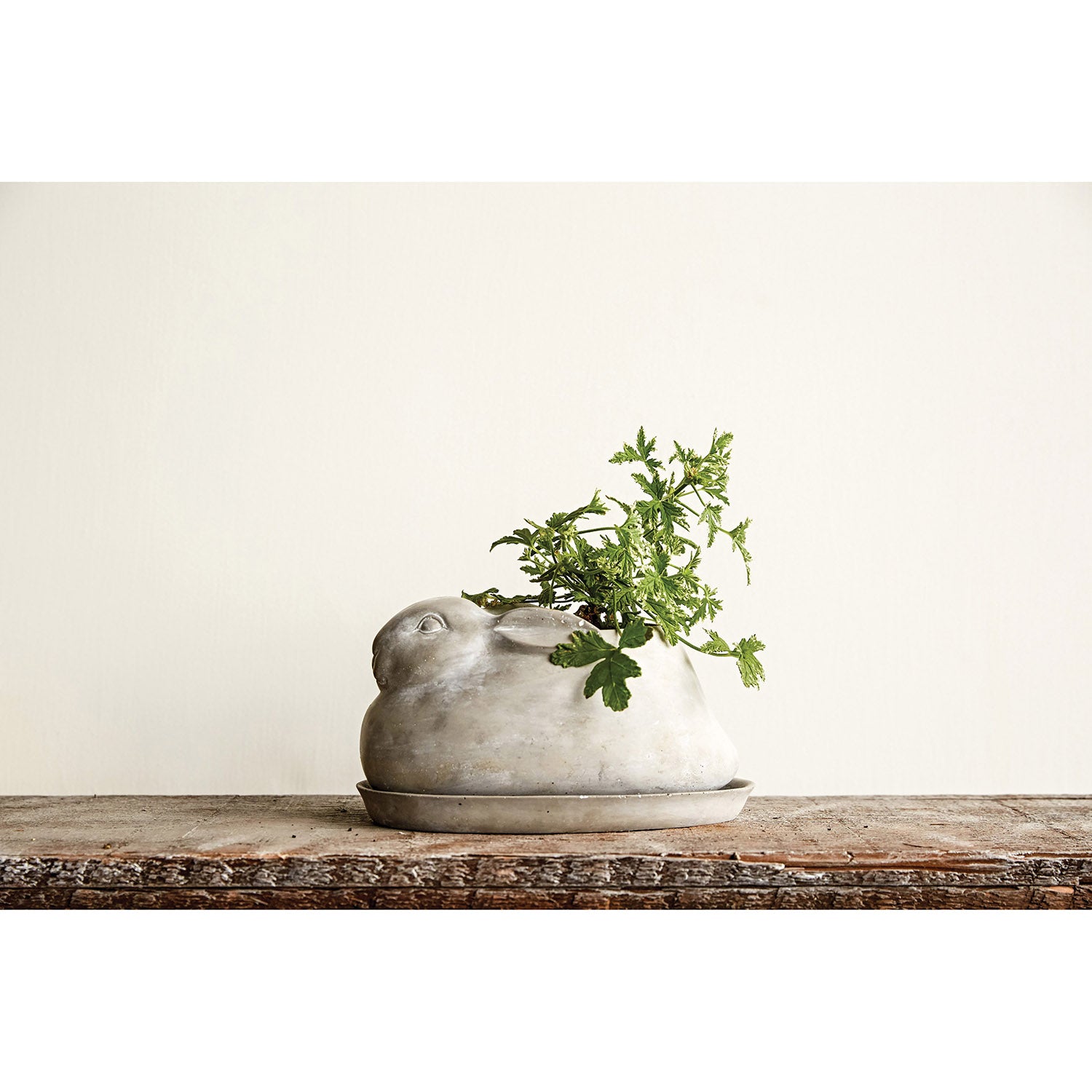 Cement Rabbit Planter with Saucer (Set of 2 Pieces)